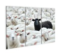 islandburner Impression sur toile de qualité supérieure - Mouton noir au milieu des moutons blancs dans un grand troupeau
