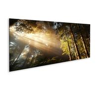 islandburner Impression sur toile Motif forêt de bambous rêveuse Pour les amoureux de la nature - Panorama - Edition E1