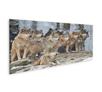 islandburner Impression sur toile panoramique représentant une meute de loups dans la forêt d'hiver debout et allongée sur une colline - 120 x 40 cm
