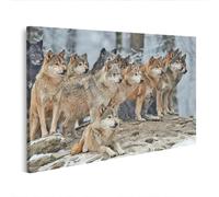islandburner Impression sur toile représentant une meute de loups dans la forêt d'hiver debout et allongée sur une colline - Toile 100 x 57 cm