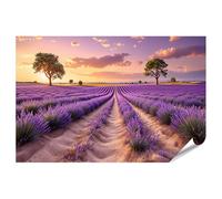 islandburner Poster Champ de lavande en Provence au coucher du soleil - Tableau mural - Grand format