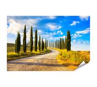 islandburner Poster Chemin des cyprès sous le ciel bleu en Toscane - Poster 90 x 60 cm