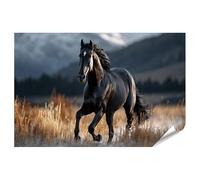 islandburner Poster de qualité supérieure - Cheval noir majestueux dans la nature - Standard