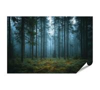islandburner Poster de qualité supérieure - Forêt brumeuse le matin avec de grands arbres et un sous-bois vert