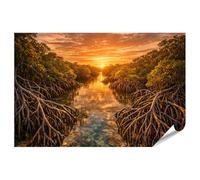 islandburner Poster de qualité supérieure - Magnifique panorama de forêt de mangroves au coucher du soleil - Grand format