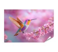 islandburner Poster de qualité supérieure - Motif colibri irisé devant des fleurs de cerisier en fleurs - Standard