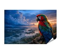 islandburner Poster de qualité supérieure - Perroquet coloré devant un paysage pittoresque au coucher du soleil - Standard