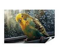 islandburner Poster de qualité supérieure - Perruche vivante - Impression d'art pour le salon - Idéal pour les amateurs d'oiseaux - Standard