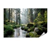 islandburner Poster de qualité supérieure - Pierres couvertes de mousse sur le ruisseau calme dans la forêt - Standard - Edition J1