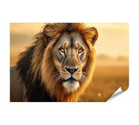 islandburner Poster de qualité supérieure - Portrait de lion majestueux en lumière dorée - Pour décoration murale - Standard - Édition H1