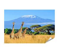 islandburner Poster sur papier photo - Trois girafes - Parc national du Kenya Kilimanjaro - Motif montagne - Afrique - Qualité supérieure - 90 x 60 cm