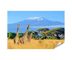 islandburner Poster sur papier photo - Trois girafes - Parc national du Kenya Kilimanjaro - Motif montagne - Afrique - Qualité supérieure - 90 x 60 cm