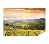 islandburner Poster vignobles au coucher du soleil dans la campagne toscane - Poster 90 x 60 cm
