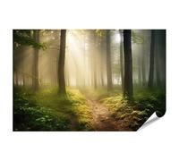 islandburner Poster XXL avec rayons de soleil dans le chemin brumeux de la forêt le matin, impression photo de qualité supérieure