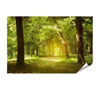 islandburner Poster XXL avec rayons de soleil dans le chemin de la forêt, impression photo de qualité supérieure