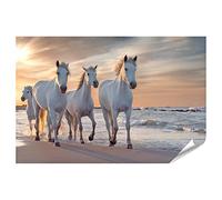 islandburner Poster XXL Chevaux blancs Camargue France Troupeau de qualité supérieure Impression photo