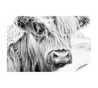 islandburner Poster XXL motif vache des hautes terres poilue en noir et blanc debout sur un pâturage, 90 x 60 cm