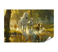 islandburner Poster XXL représentant un troupeau de chevaux sur la rivière dans la lumière du matin - Impression photo de qualité supérieure