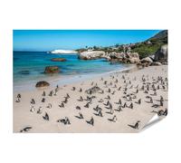 islandburner Prime Image Poster Pingouins sur la plage sous le soleil Mer du Sud panoramique Impression photo de qualité supérieure