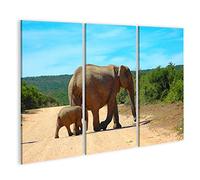 islandburner Prime, image sur toile, faune africaine, images murales