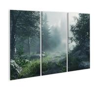 islandburner Prime Image sur toile Forêt brumeuse le matin Promenade Images murales Poster