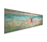 islandburner Prime Image sur toile Motif chevreuil dans l'herbe admirable environnante Images murales Poster