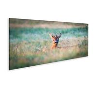 islandburner Prime Image sur toile Motif chevreuil dans l'herbe admirable environnante Images murales Poster