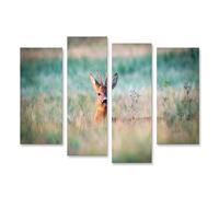 islandburner Prime Image sur toile Motif chevreuil dans l'herbe admirable environnante Images murales Poster