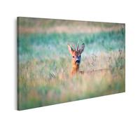 islandburner Prime Image sur toile Motif chevreuil dans l'herbe admirable environnante Images murales Poster