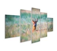 islandburner Prime Image sur toile Motif chevreuil dans l'herbe admirable environnante Images murales Poster