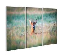 islandburner Prime Image sur toile Motif chevreuil dans l'herbe admirable environnante Images murales Poster