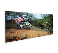 islandburner Prime Image sur toile Motif cycliste aventure dans la forêt Downhill Action Images murales Poster