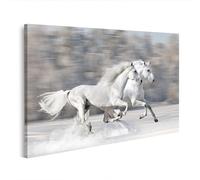 islandburner Prime Image sur toile Motif deux chevaux blancs galopant dans la neige lors d'une belle journée d'hiver - Toile 80 x 40 cm