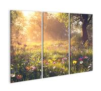 islandburner Prime Image sur toile Motif prairie fleurie ensoleillée dans la forêt printanière le matin