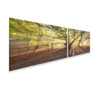 islandburner Prime Image sur toile Motif rayons de soleil dans la forêt enchantée Scène lumineuse mystique de la nature Images murales Poster