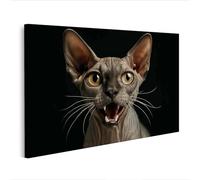 islandburner Prime Image sur toile Motif Sphinx Chat aux grands yeux et visage expressif - Toile 100 x 57 cm