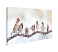 islandburner Prime Image sur toile Sept moineaux sur une branche dans un fond d'hiver Images murales Poster