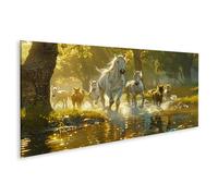 islandburner Prime Image sur toile Troupeau de chevaux sur la rivière à la lumière du matin Images murales Poster