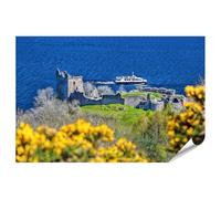 islandburner Prime Poster Château Ruine sur le lac bleu avec fleurs jaunes et bateau Impression photo de qualité supérieure