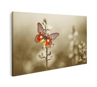 islandburner Prime Tableau sur toile Motif papillon sur fleur en sépiaton Style vintage