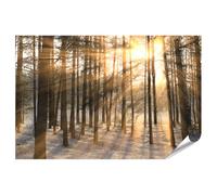 islandburner Prime XXL Poster avec rayons de soleil dans la forêt d'hiver