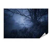 islandburner Prime XXL Poster Forêt brumeuse avec arbres mystiques sous lumière bleutée Impression photo de qualité supérieure