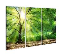 islandburner Tableau sur Toile Arbre avec Rayons de Soleil Cadre Affiche Poster Murale Tableaux