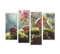 islandburner Tableau sur Toile Automne Nature Morte Champignons forêt Art Photographie Nature Fleurs Mur Photos Cadre Affiche Poster Murale Tableaux