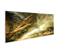 islandburner Tableau sur toile avec lumière du soleil, oliviers lumineux, jardin, lumière du soleil, olive, sport, images murales