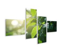 islandburner Tableau sur toile avec rayons de soleil et gouttes d'eau sur feuilles