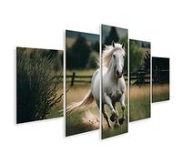 islandburner Tableau sur toile Beau cheval blanc dans le gallop Images murales Poster