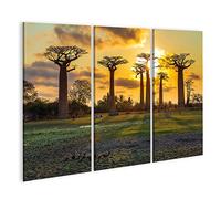 islandburner Tableau sur Toile Beaux Baobabs Au Coucher du Soleil Avenue des Baobabs Madagascar Cadre Affiche Poster Murale Tableaux
