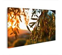 islandburner Tableau sur toile - Branches d'un olivier avec des olives mûres en plein soleil - Edition P2