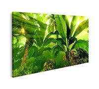 islandburner Tableau sur toile Brouillard du matin dans une forêt tropicale dense Peintures Impressions Images Murale Décoration murale